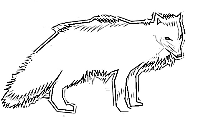 Kolorowanka Wilk - Kreatywna Zabawa dla Dzieci kolorowanka do druku